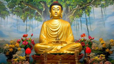 Comment utiliser l’arbre de vie pour son éveil spirituel ?